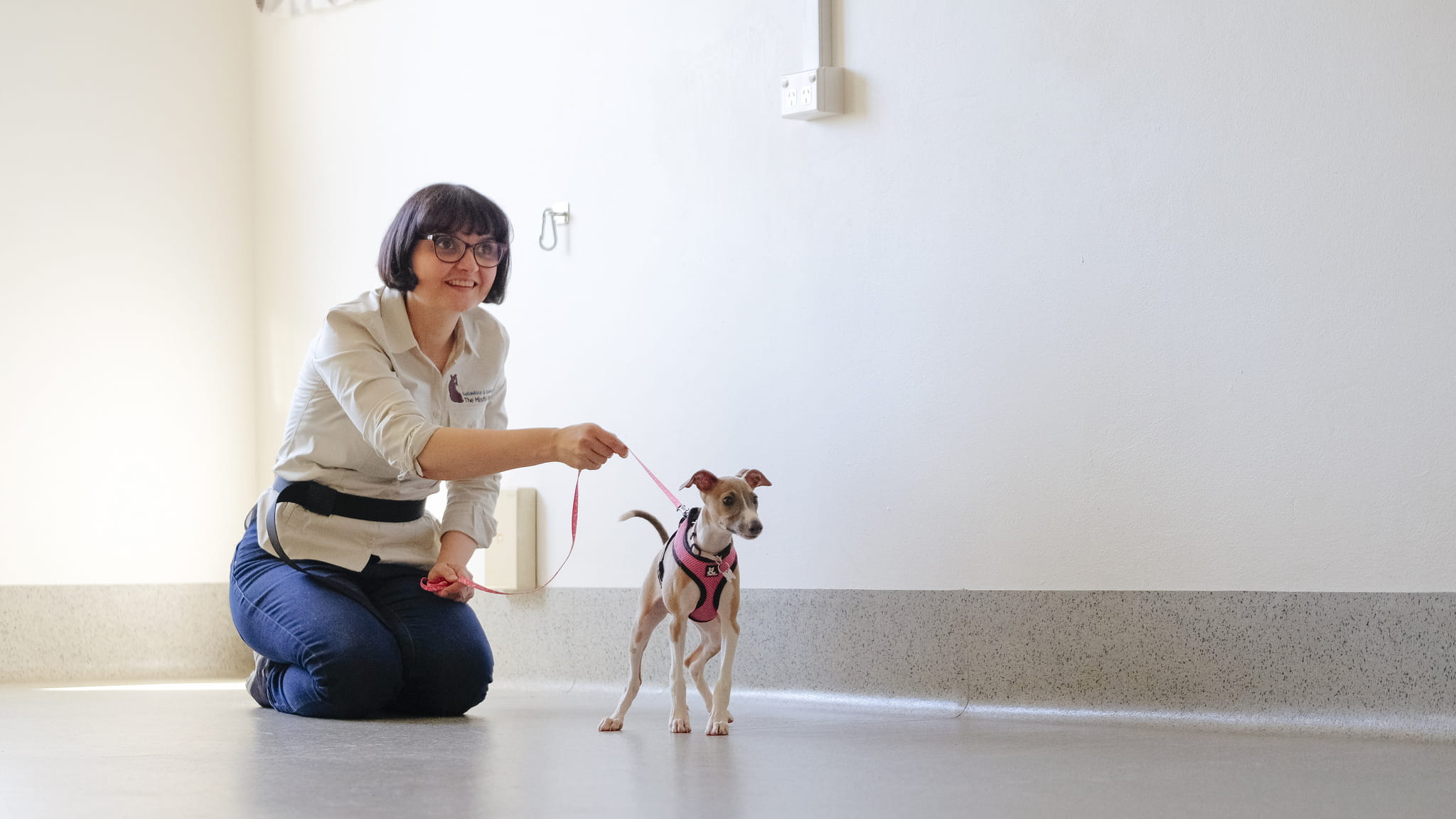 Training recall in puppy school