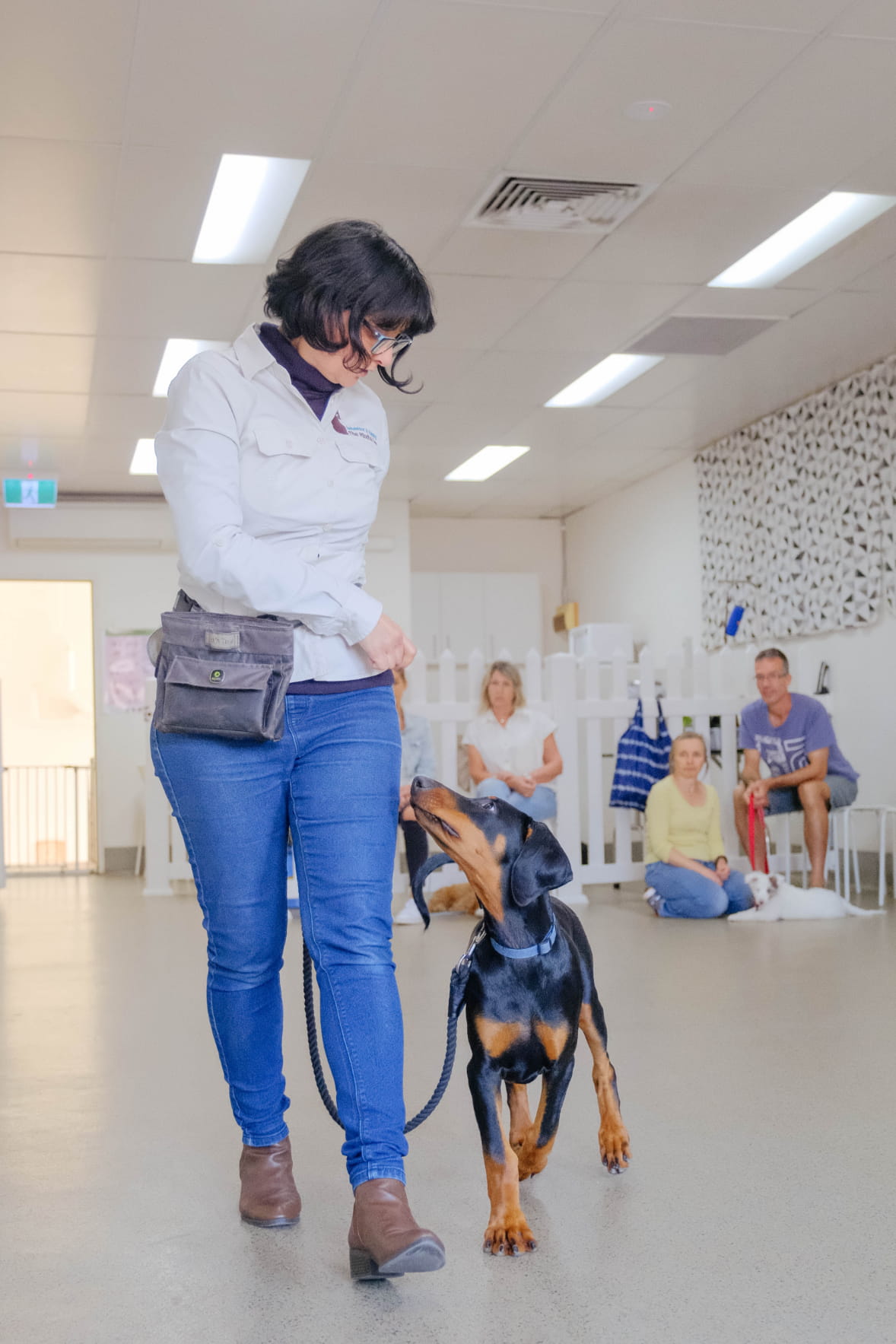 Radica at work as puppy preschool trainer